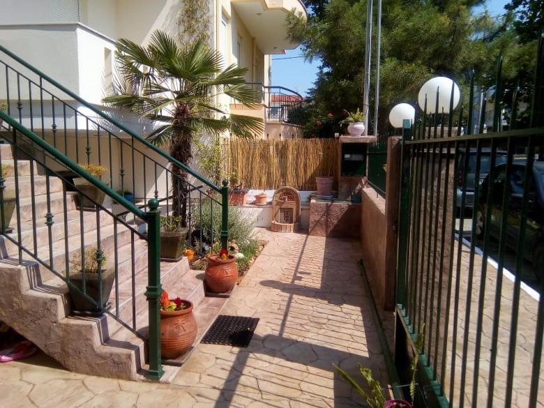 Oasis Apartment 尼亚米卡尼奥纳 外观 照片